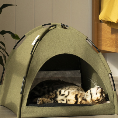 Glamping Cat Tent Bed