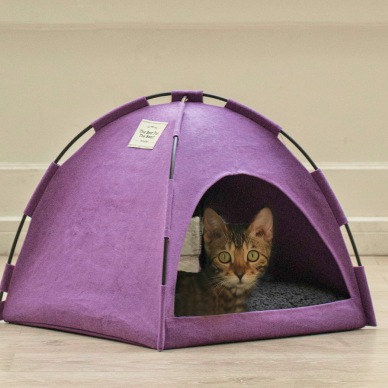 Glamping Cat Tent Bed