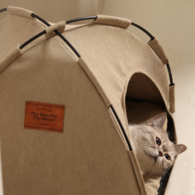 Glamping Cat Tent Bed
