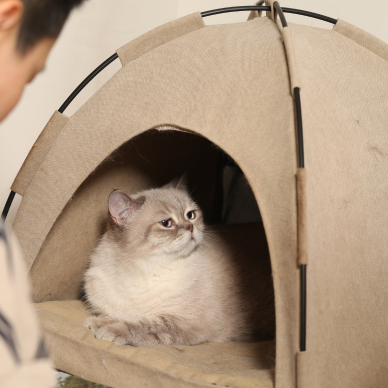Glamping Cat Tent Bed