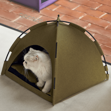 Glamping Cat Tent Bed