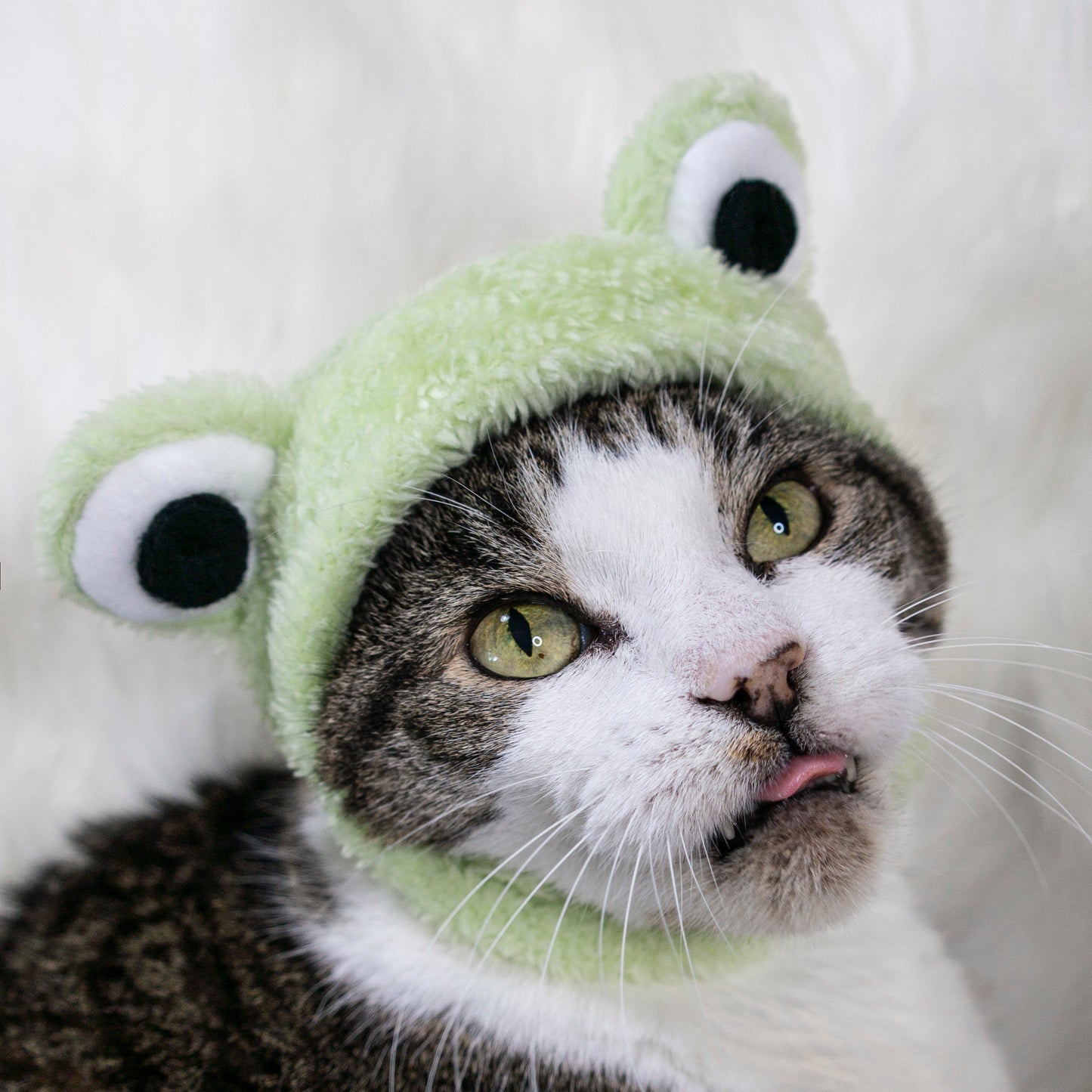 Be Hoppy Frog Hat Cat Costume